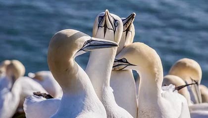 迪庆最新公积金卡提取现金方法app方法分析(最方便真实的迪庆公积金卡怎样从手机里取出来?方法)