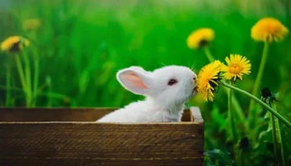 迪庆最新公积金卡提取现金方法app方法分析(最方便真实的迪庆公积金卡怎样从手机里取出来?方法)